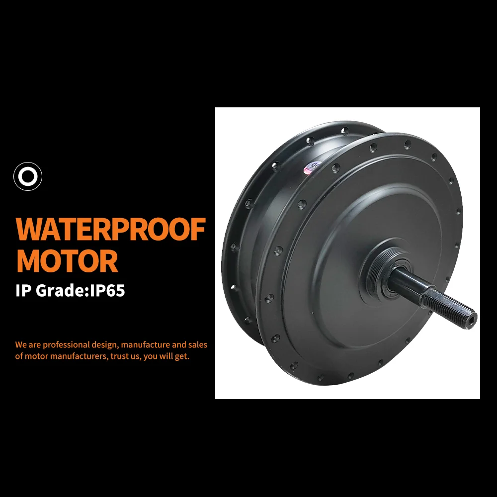 Powerful 36V 48V 250W 500W 750W Brushless Gear Motor Single Wheel Rear Wheel Drive Electric Bicycle Waterproof Ebike Hub Motor