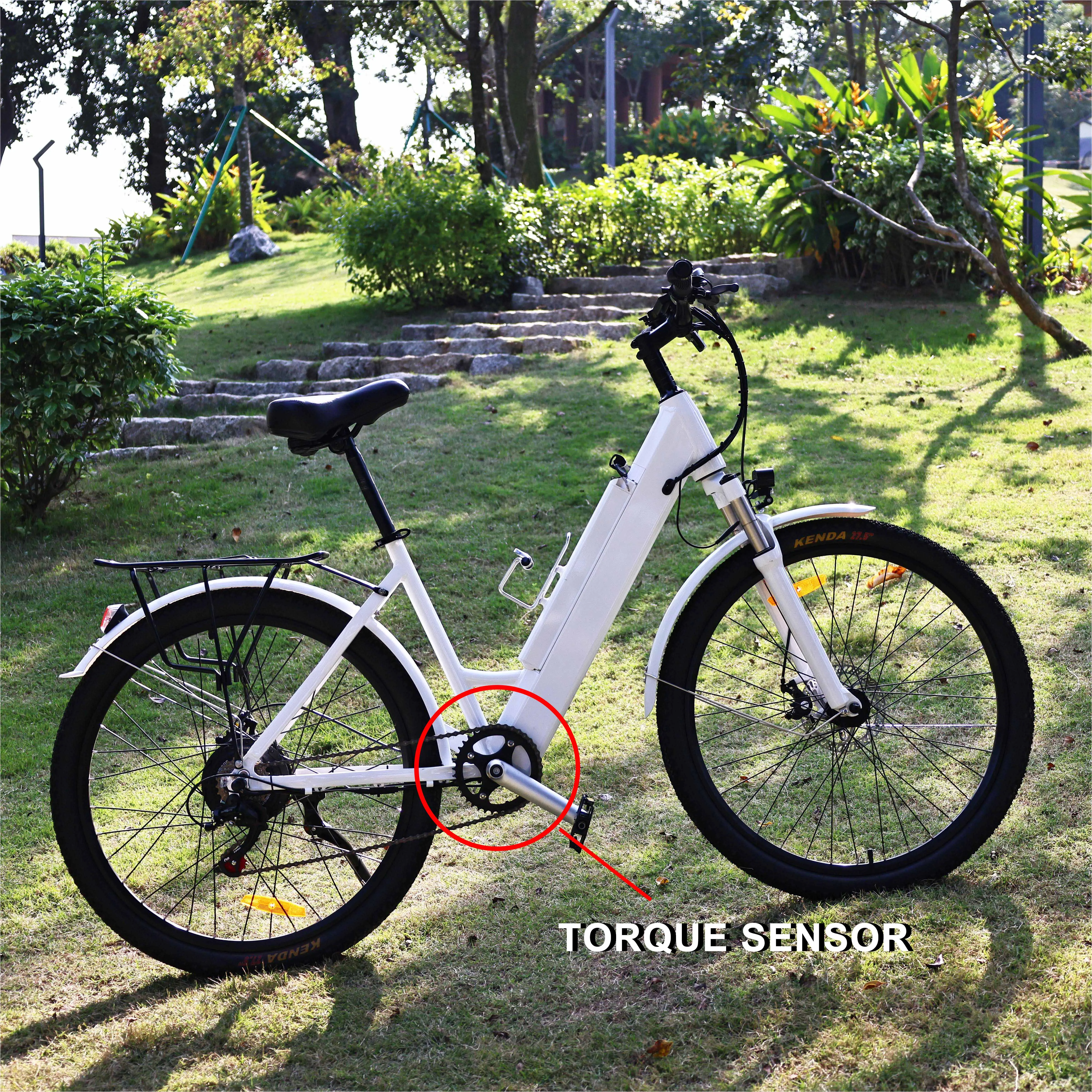 smart motor electric bike Torque basic PAS sensors pedal assistance 30-200 NM electric bike pedal assistant