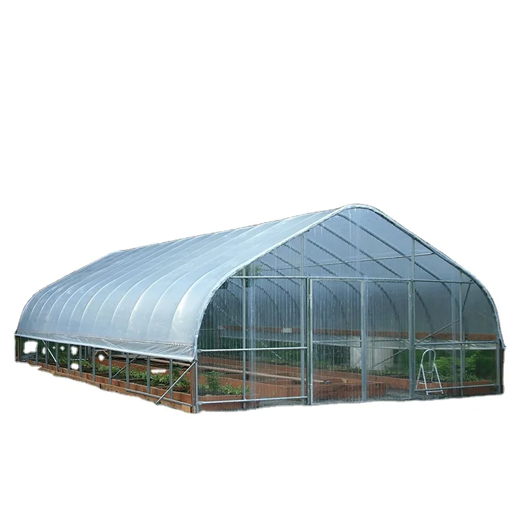 Very Popular Cheap and Functional Plastic Vegetable Tunnel Greenhouse