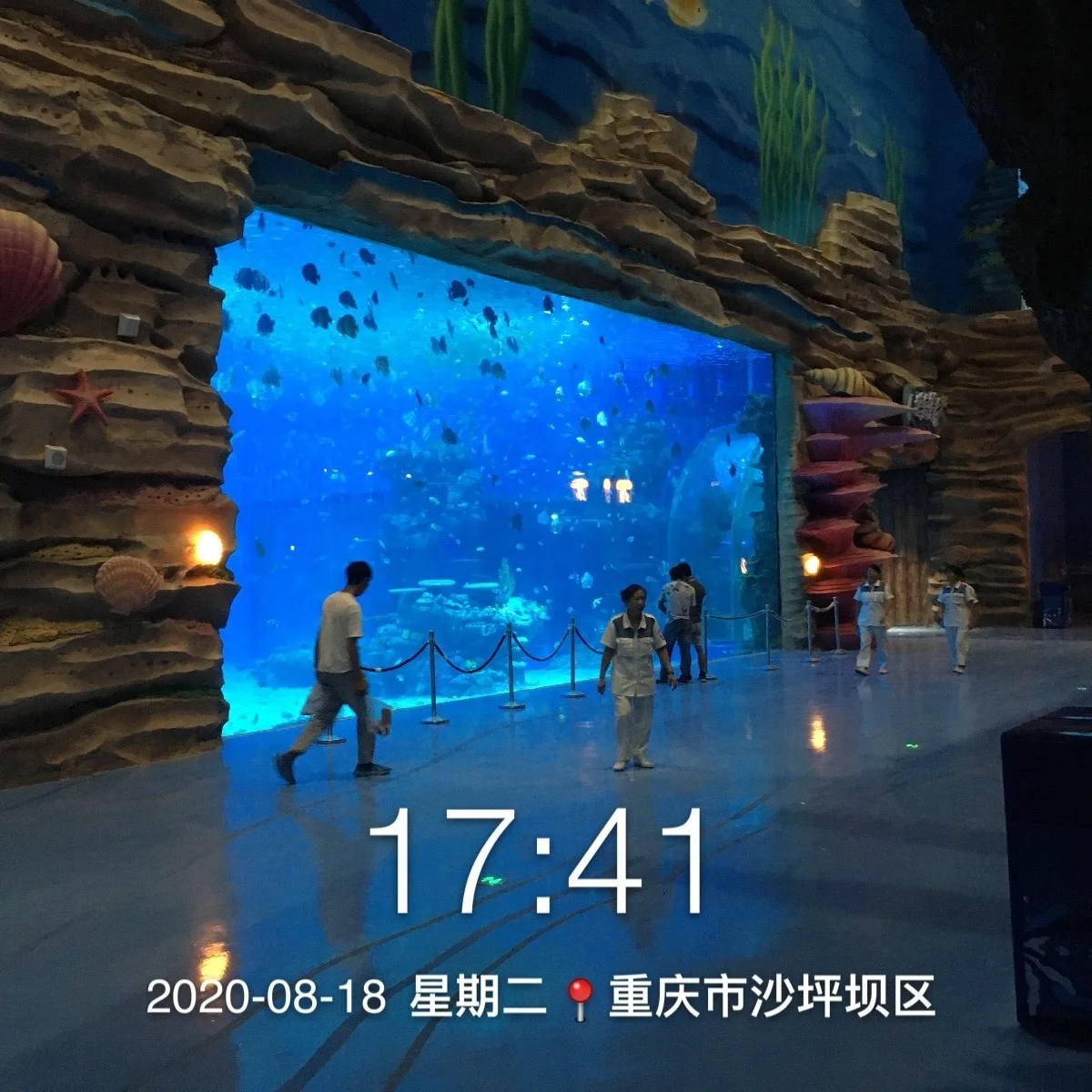 Большой акриловый аквариум цена