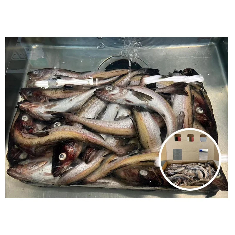 High Quality Japan Origin 300-500g Alaska Frozen Pollock Fish