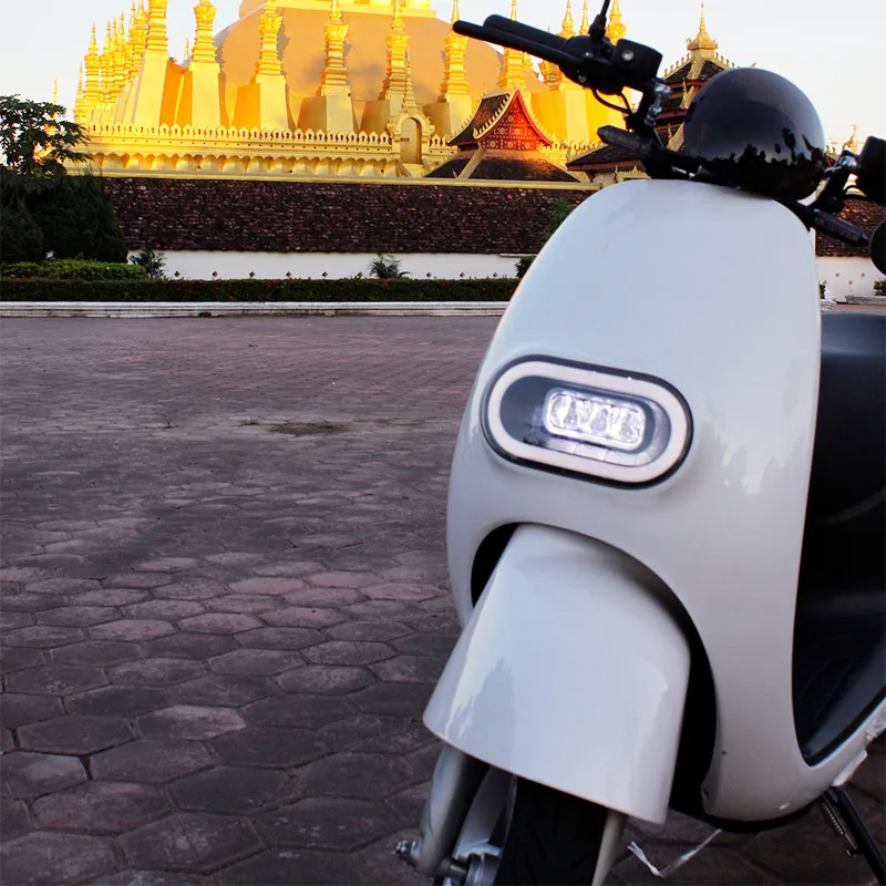 LX02-W-Y6 60V20AH LEAD-ACID ELECTRICAL MOTORCYCLE SCOOTER FRONT DISC BRAKE REAR DISC BRAKE  800W MOTOR POWER