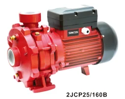 2CP50/160B центробежный насос с двумя крыльчатками 2JCM50/200 водяной Высокой Головкой