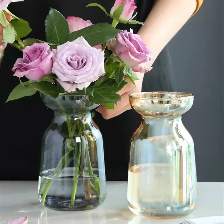 Aurora Fantasy Gradient Simple Small Vase Glass Flower Arrangement Flower Maker Hydroponic Plant Glass Vase  Tabletop Glass Vase