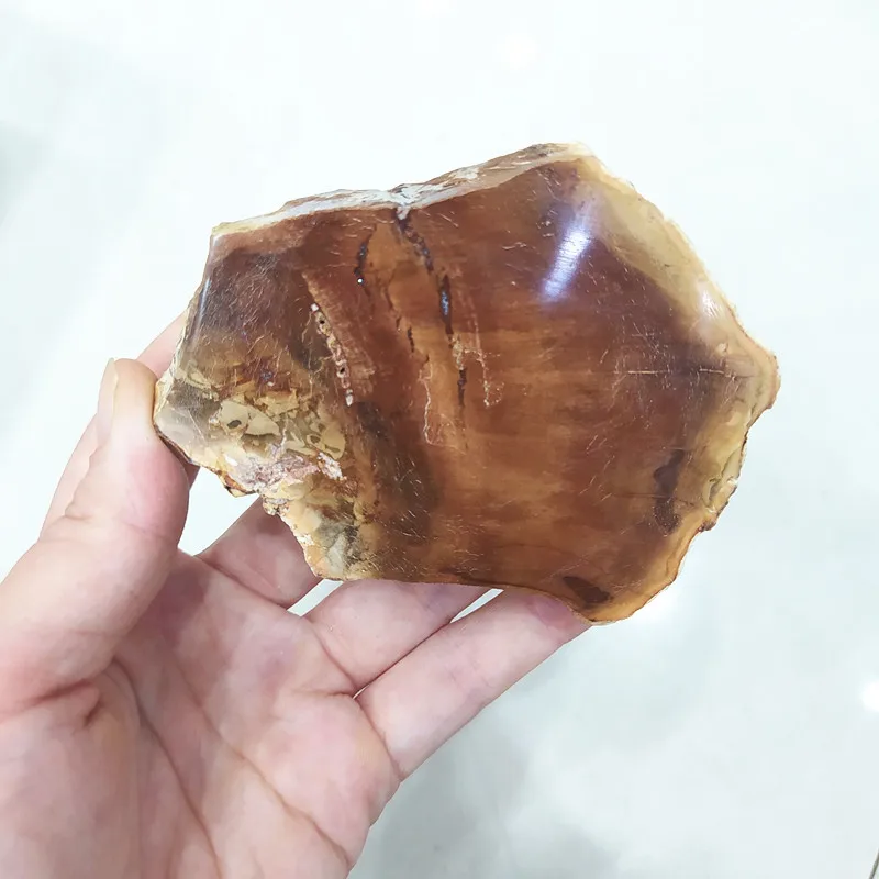 
Petrified wood fossil Slice mix size natural wooden fossil slab crystal stone slab Wholesale 