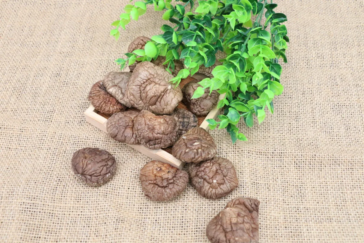  Здоровые органические сушеные грибы shiitake заводская цена цельные кусочки 1