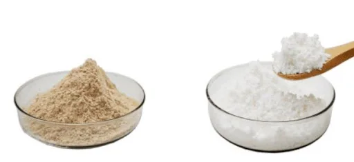 Natural source huge supplements ecdysterone powder Cyanotis arachnoidea extract powder for muscle gain