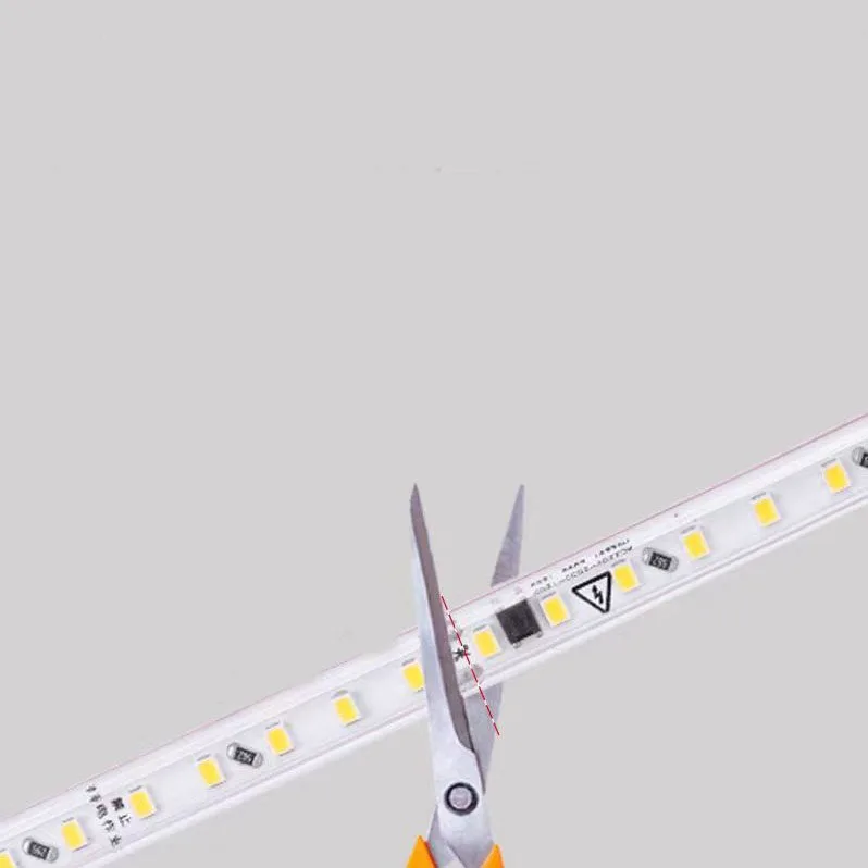 Wholesale Outdoor Decoration PVC Flexible double Row Light Strip Reel Waterproof IP67 SMD 2835 Rope 110V 220V Led Strip Light