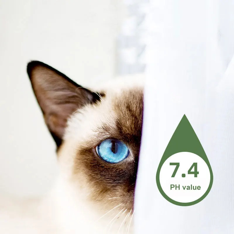 Custom Logo Pet Grooming Ear Care Infection Treatment Drops Ultra-OTIC Liquid Ear Cleaner for Dogs Cats Puppies
