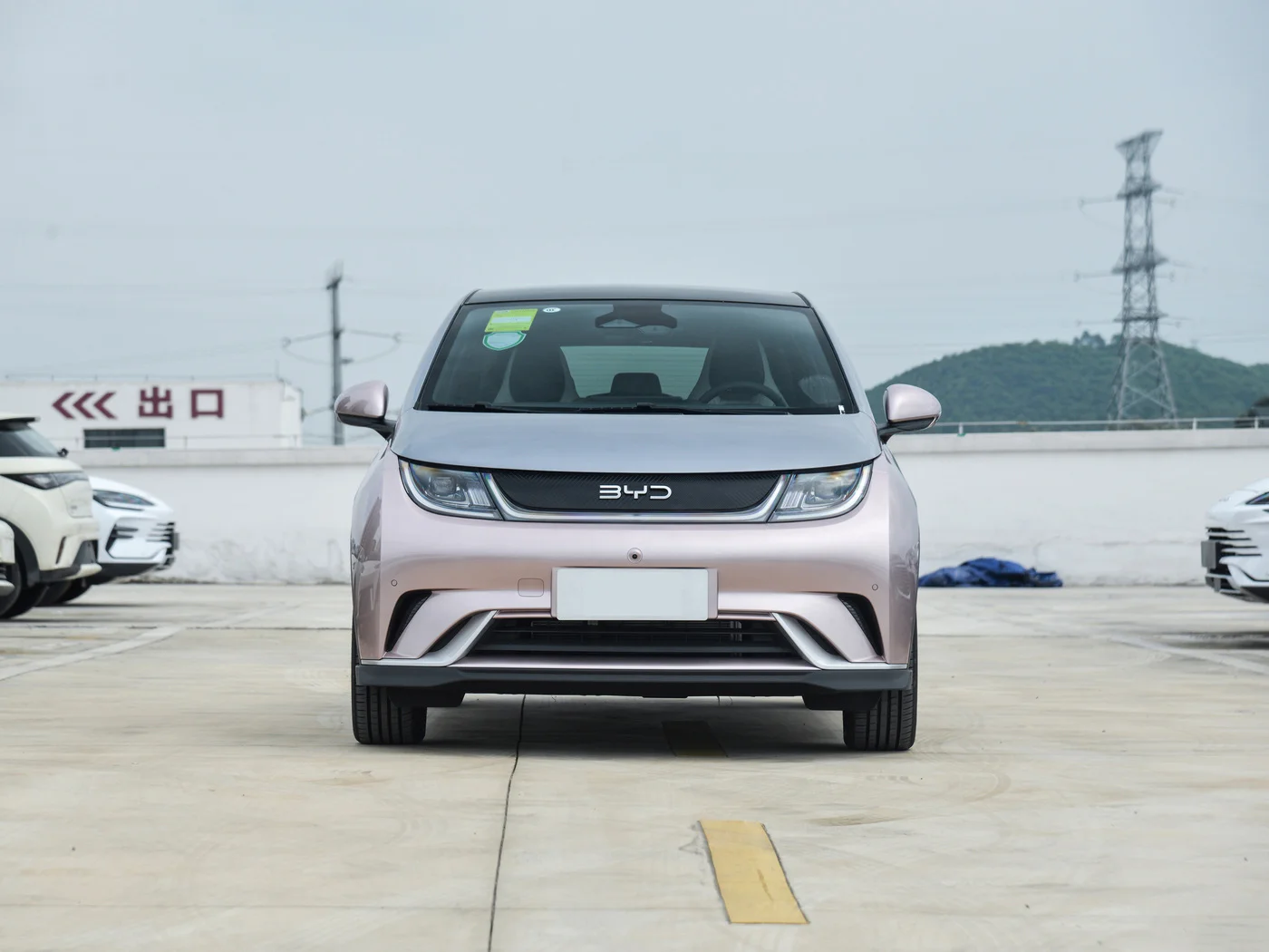 2024 BYD оптовая цена бестселлер Dolphin 420 км EV автомобиль электромобиль для продажи