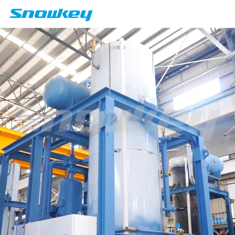 
Snowkey 3 Ton Best Quality Tube Ice Machine for Malaysia 