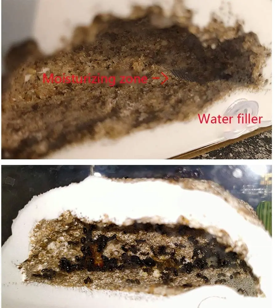 DIY mini original ecological plaster hormiguero ant nest for pet ant castle workshop home