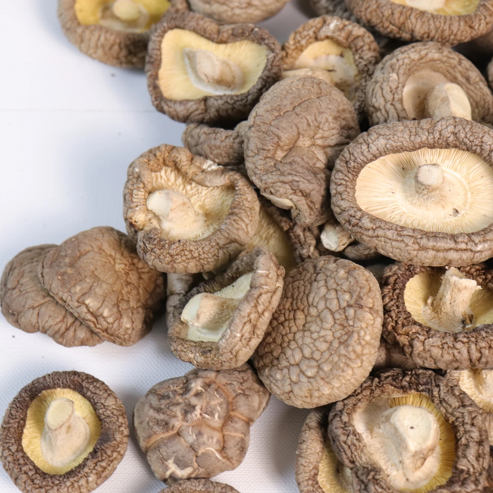 Highly Dried Mushrooms Raw Edible Shiitake Mushroom