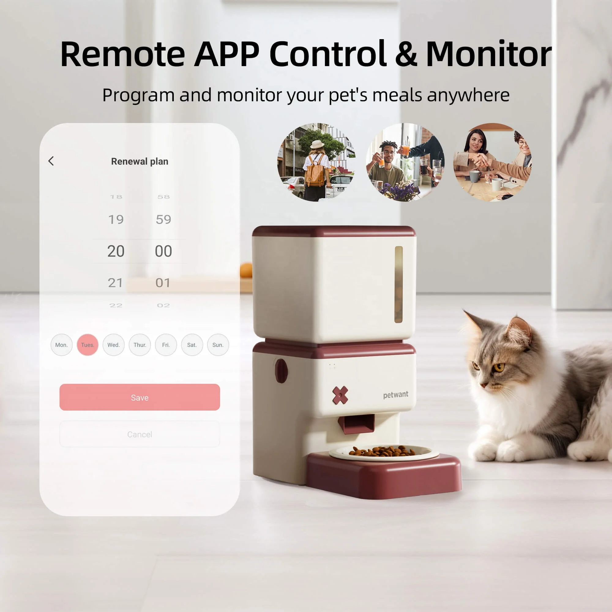 Petwant OEM ODM Wholesales 3.5L Smart WIFI Tuya APP Remote Feeding Auto Pet Food Dispenser With Ceramic Bowls