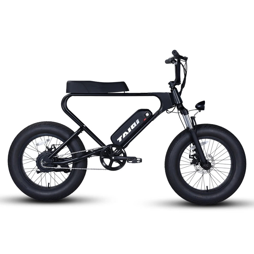 TAIQI DK200  electric bike bicycle Snow Electric Mountain Ebike exercise electric city bike bicycle mountain ebike road bike