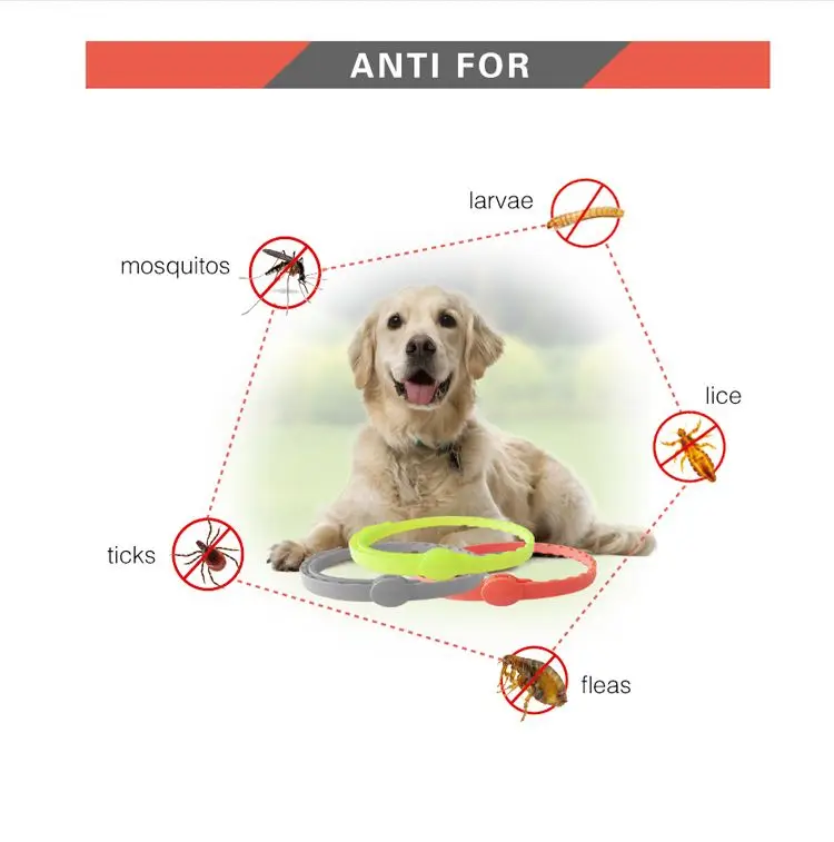 Best Selling Dog Cat Collar pet flea and tick collar for dogs cats