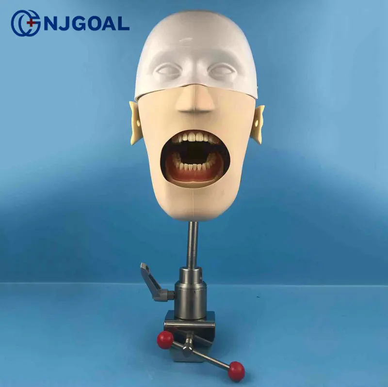 Китай система практики phantom голова обучение стоматологический симулятор тренировочная модель для школьного университета