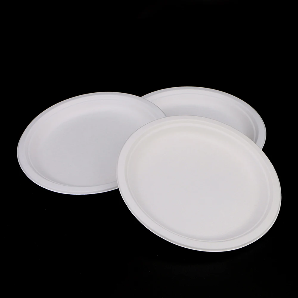 Biodegradable Disposable Sugarcane Bagasse oval