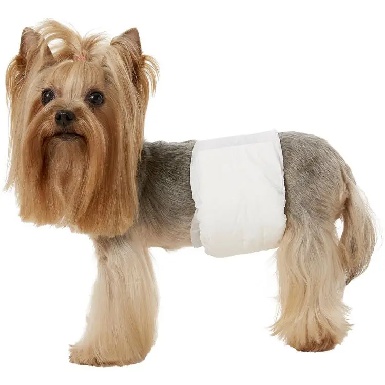
high quality cheap price waterproof super absorbent disposable dog diaper 