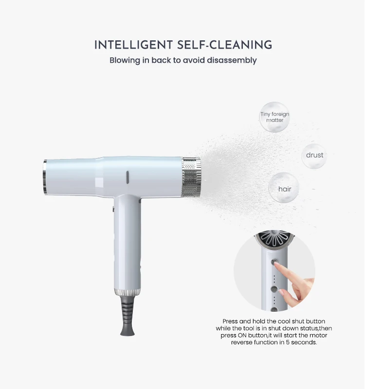 Wholesale High speed BLDC Brushless Motor Salon Equipment Professional Hairdryer New Blow Custom Hair Dryer  OEM  ODM