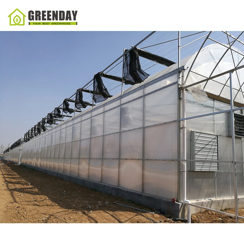 
GREENDAY Inside/ outside shading system agricultural film greenhouse 