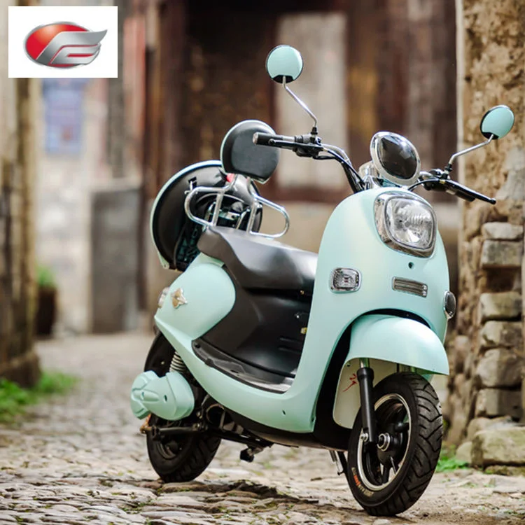 High Speed 1000w 2000w Bike 2 Wheel Electric  Electric Motorcycle With Pedals Disc Brake