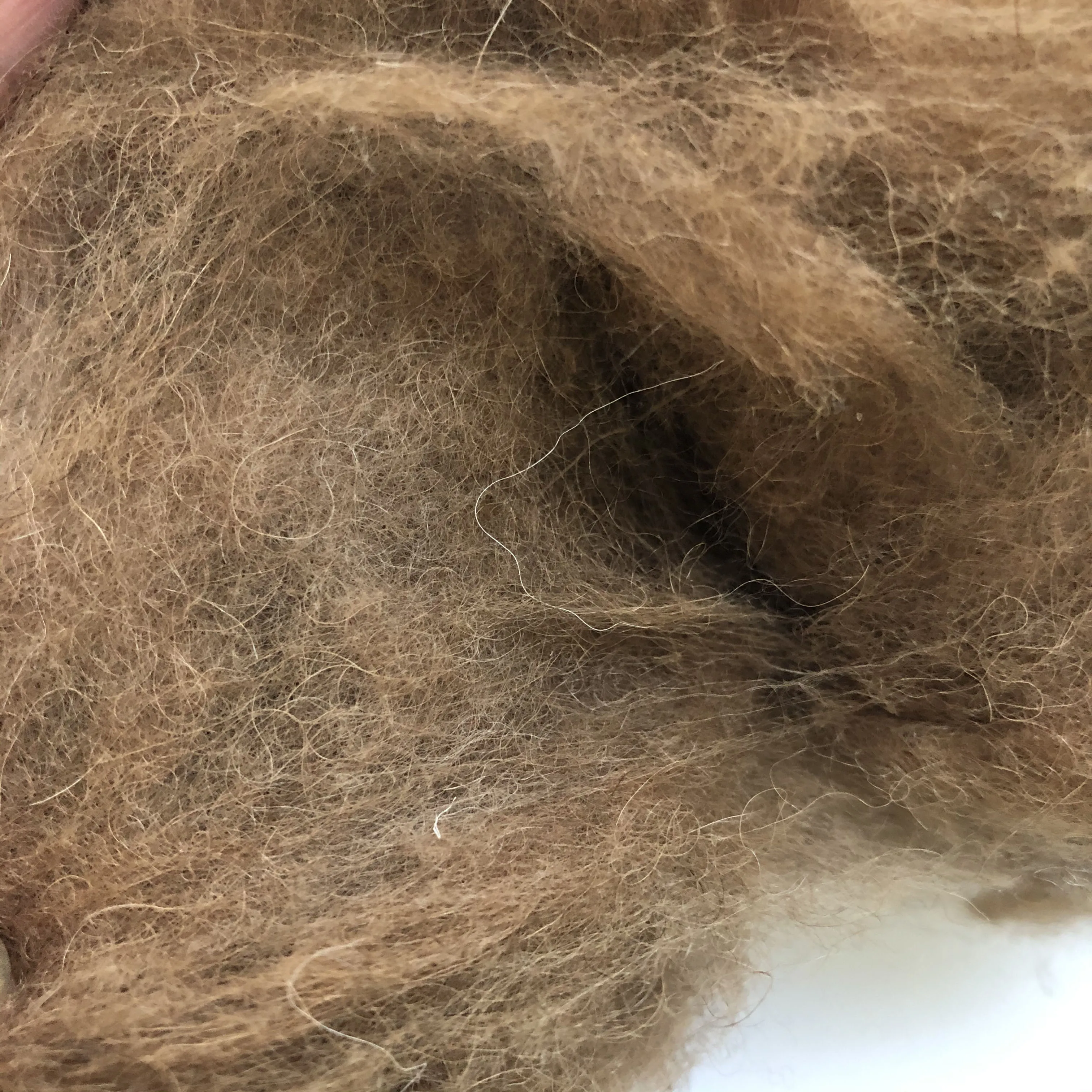 high quality factory price 100% camel hair with natural color for spinning yarn camel wool fiber for wholesale