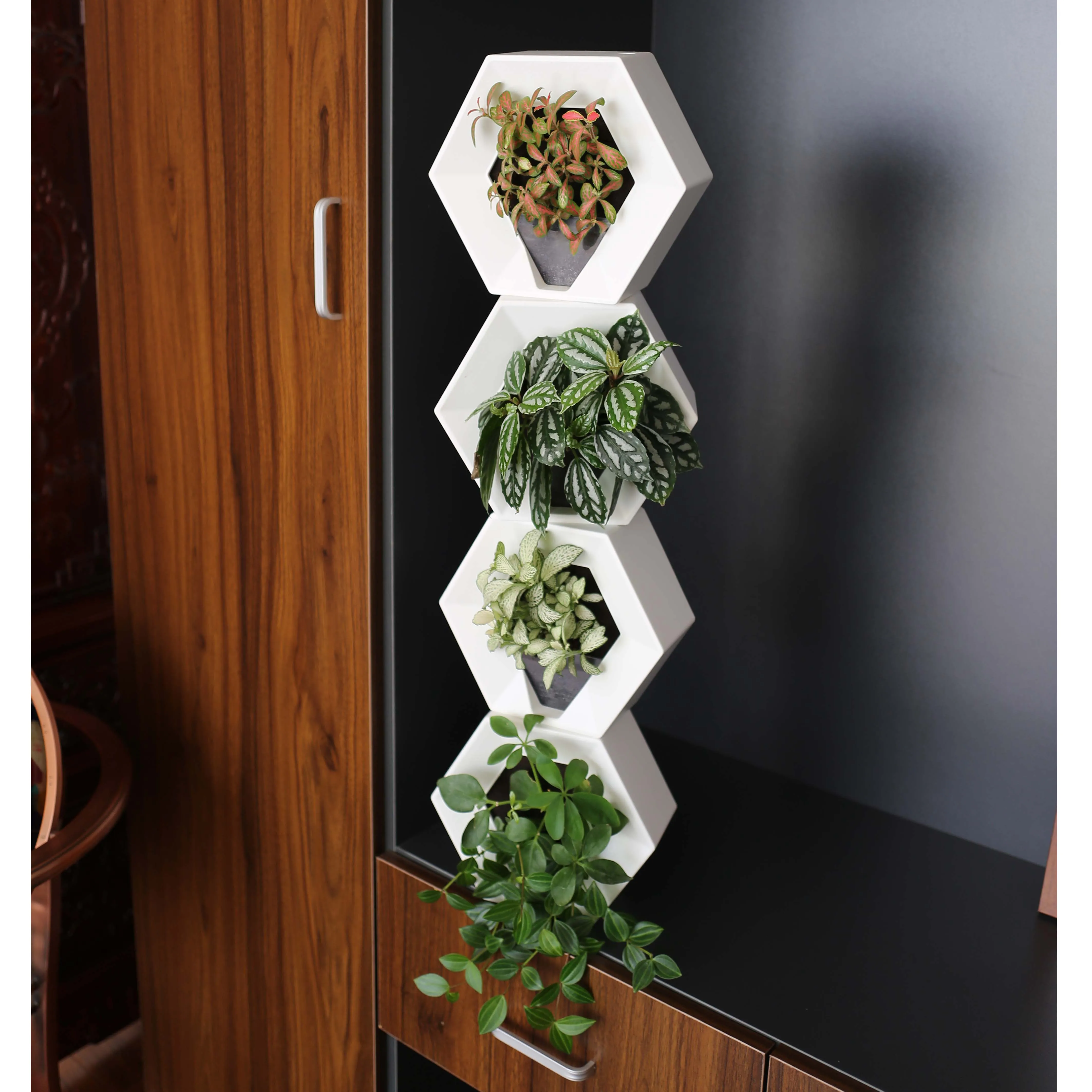 2020 New Indoor Eco-friendly Self Watering Plastic Wall Mounted Decor Flower Pot With Planting Sponge