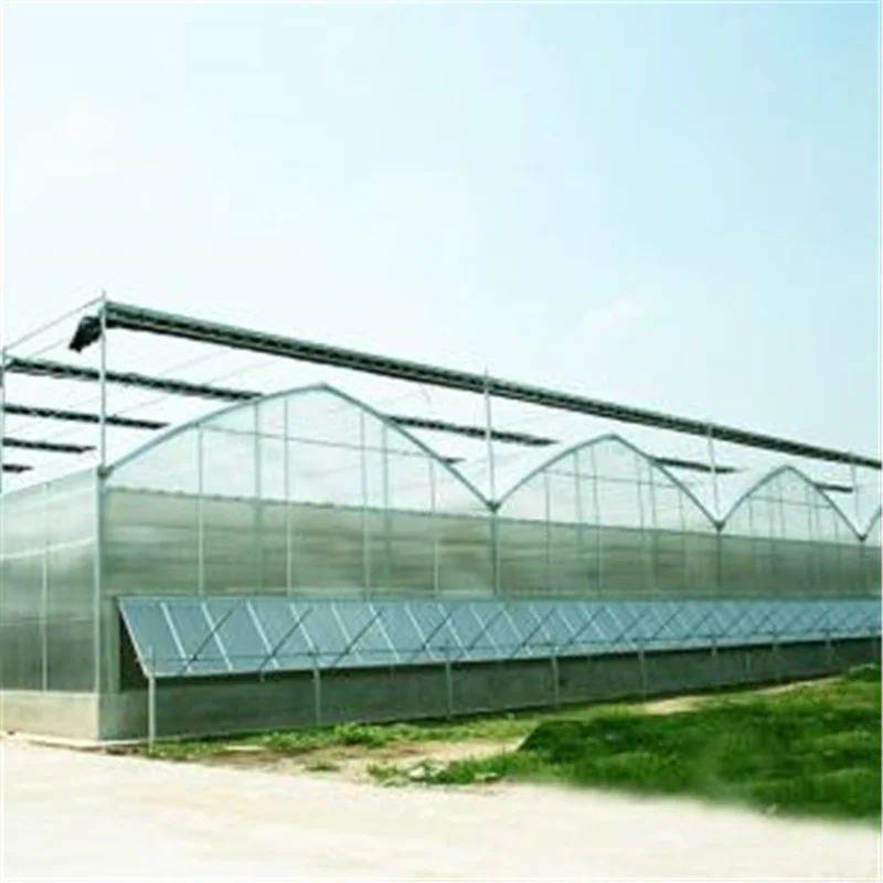 China manufacturer large agricultural garden greenhouses beautiful appearance polycarbonate sheets greenhouse