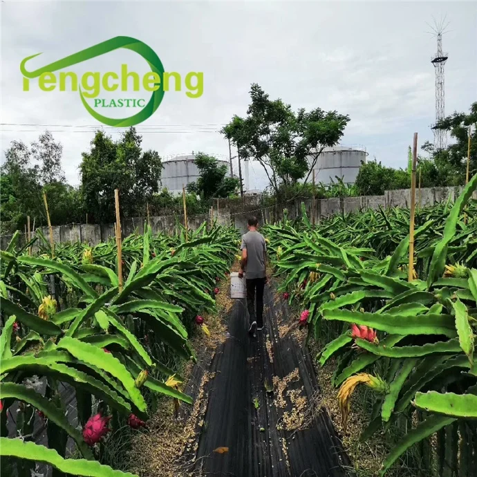 100% virgin 80gsm 90gsm 100gsm garden ground cover fabric/grass barrier mat/plastic pp anti grass control for dragon fruit