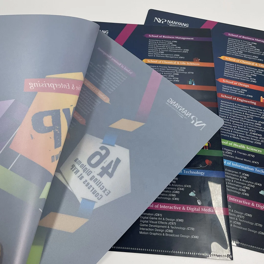 Dark color plastic folder customized design L shape file folder PP pockets folders for office