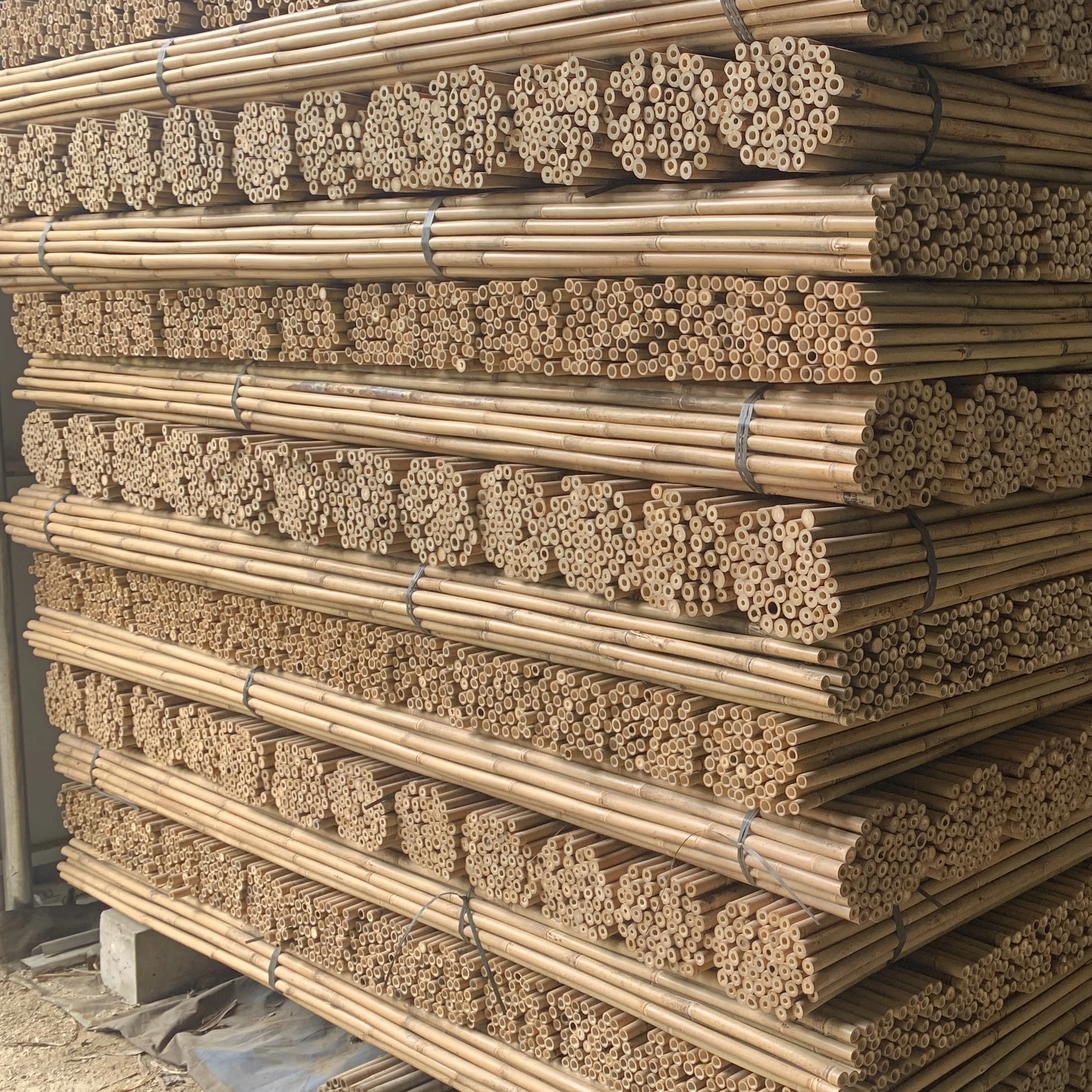 Natural Eco-friendly yellow raw bamboo poles For Plants Stand