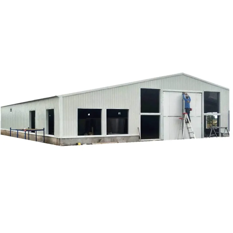 Стальная конструкция фермы крыши современный Бройлер для птицеводства дизайн/Слой Птицеводства