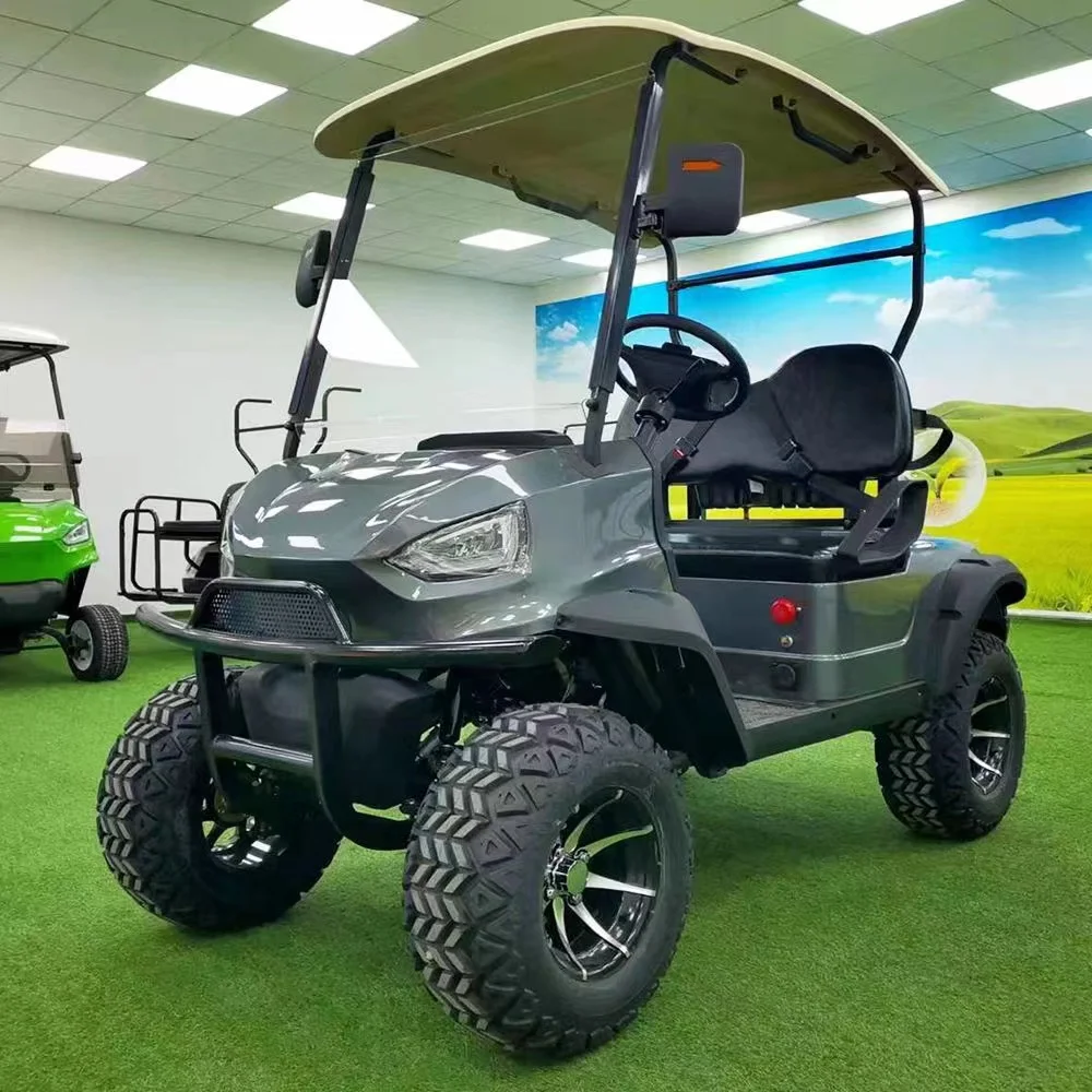Factory Supplier New Brand Energy Saving Battery Two Seats Buddy Golf Car With Aluminum Alloy Wheels