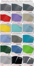 Factory Sales Waterproof 1.52M*18M Anti Scratch Wrap Vinyl Film PET Material Car Protection