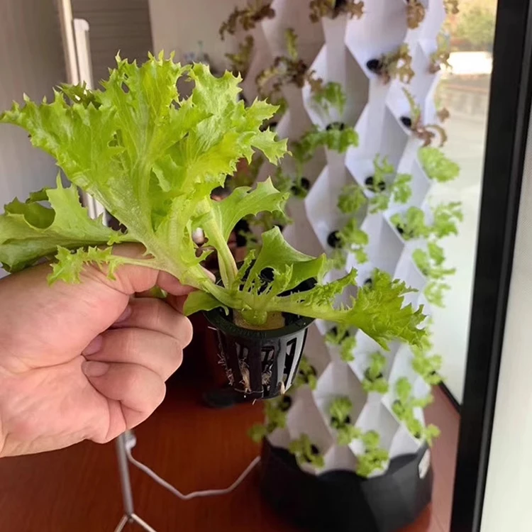 New Aeroponic Garden Vertical Farming Family Use Mini Indoor Hydroponic Aeroponic Growing Tower For Strawberry