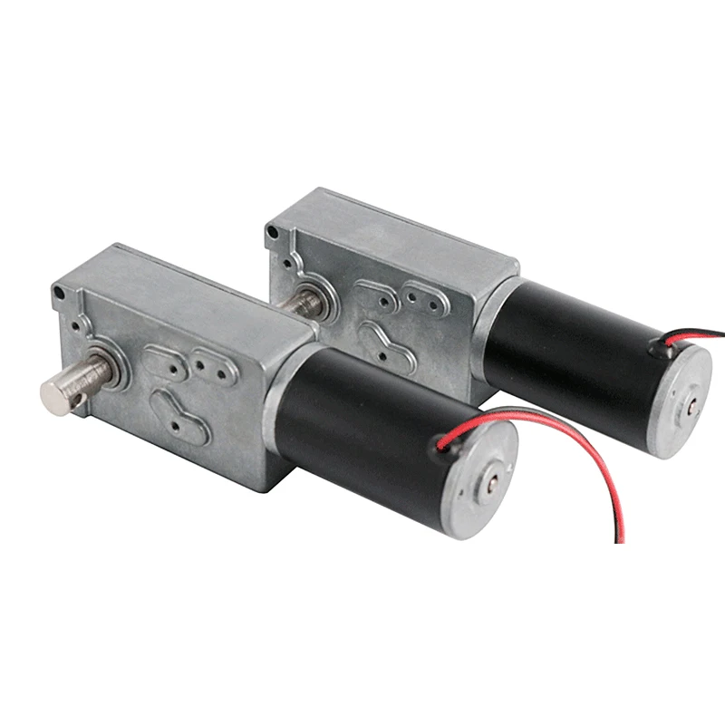 DSD 70mm 12V 24V DC Worm Gear Motor for Exhaust Smoke Window