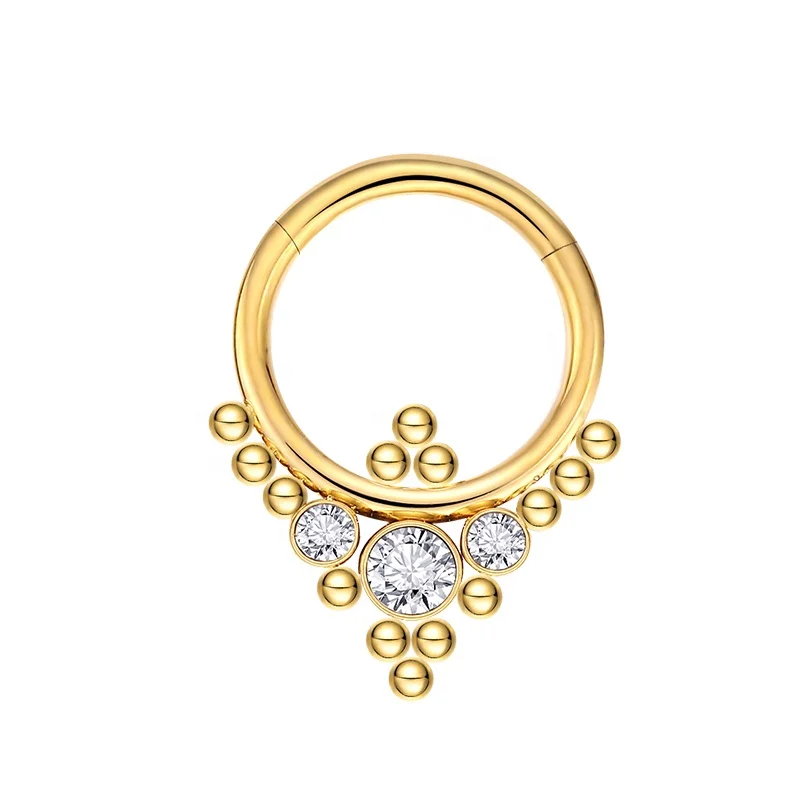 G23 titanium nose ring in Titanium jewelry Segment hinged ring clicker nose ring Titanium nose piercing