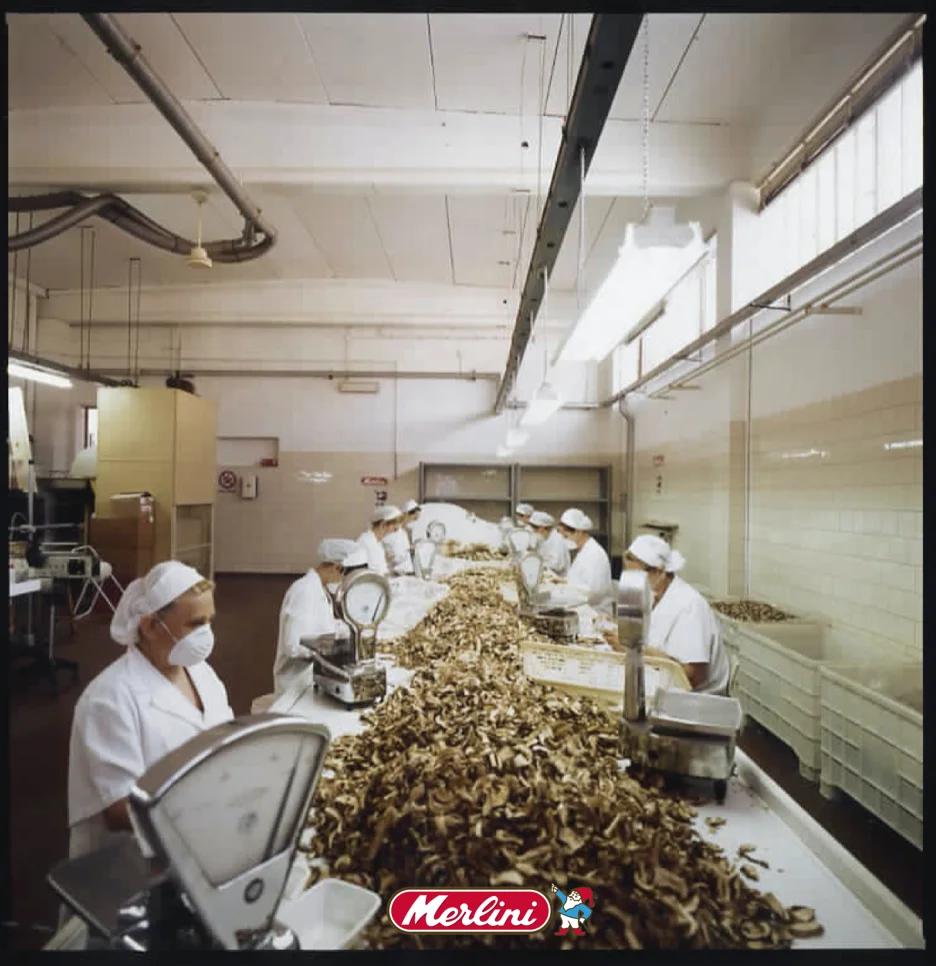 Лучшие итальянские порцини-сушеные порцини-Грибы «PRIMIZIA» 40 г для экспорта