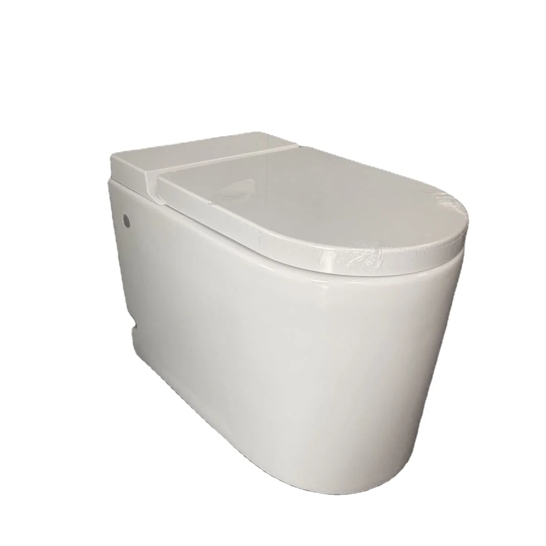 Electric whirlpool type pumping implement,toilet  without tank  pulse tankless wc toilet