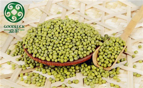 Mung Beans Bulk Green Mung Beans For Sale