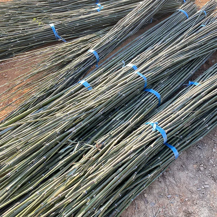 Indoor Decoration House Ceiling Partition Outdoor Fishing Pure Natural Planting Plants Bamboo Pole Price Raw Materials