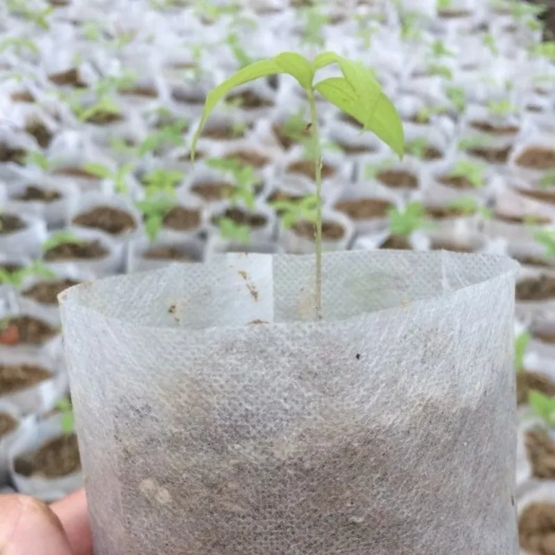 hot sell  100% polypropylene Nonwoven bag cheap customized small bags for seedling bag