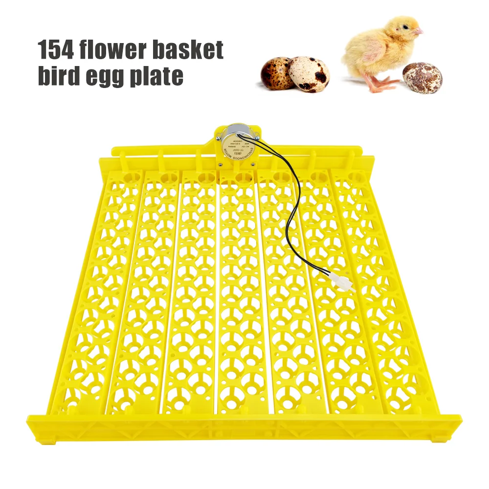 China hot selling quail egg tray and bird egg tray for 154 eggs