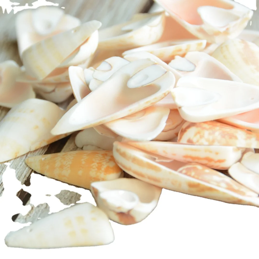 Natural cut snail slice jewelry necklace wind chime perforated conch shell handicraft raw materials