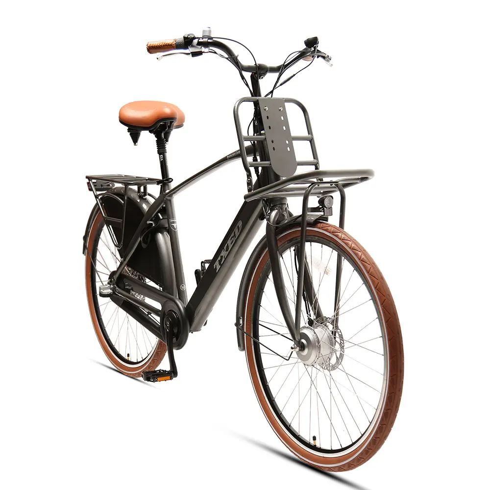 TXED 28 inch Amsterdam  inner 3-speed electric bike 250W  Lithium battery Electric City Bicycle