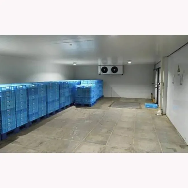 Solar cold storage room with DC inverter compressor