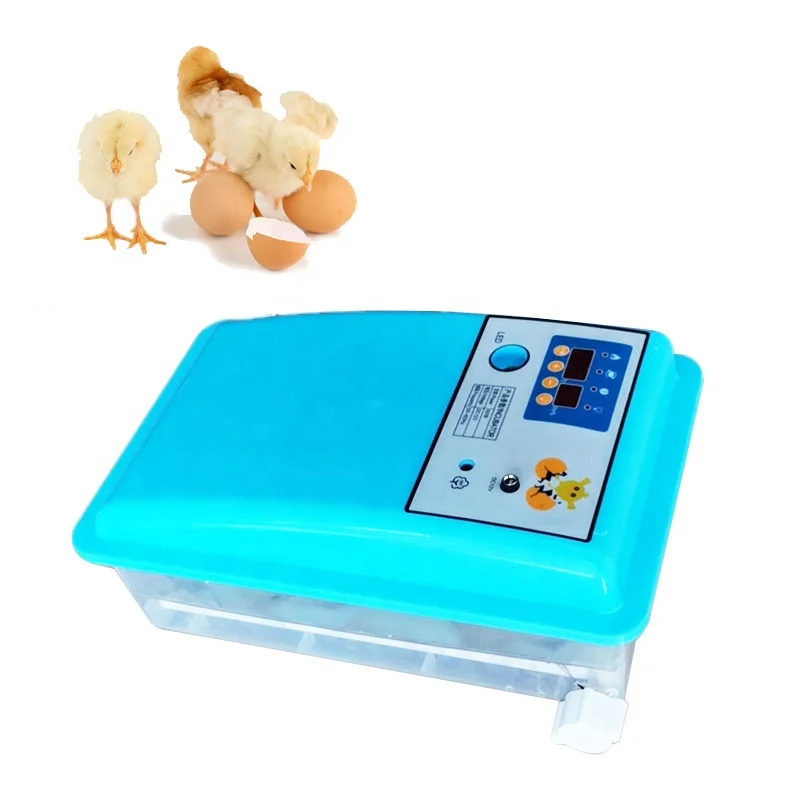 Give Away Egg Incubator Accessories Poultry Brooder Machine
