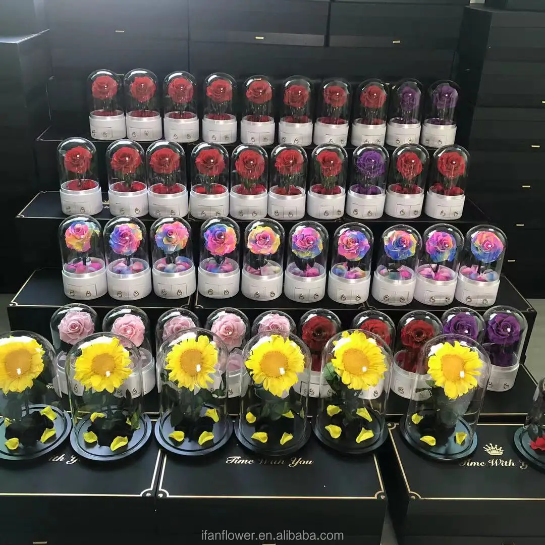 2021 Preserved flower in glass long life rose wholesale dried flowers preserved orchids preserved flowers