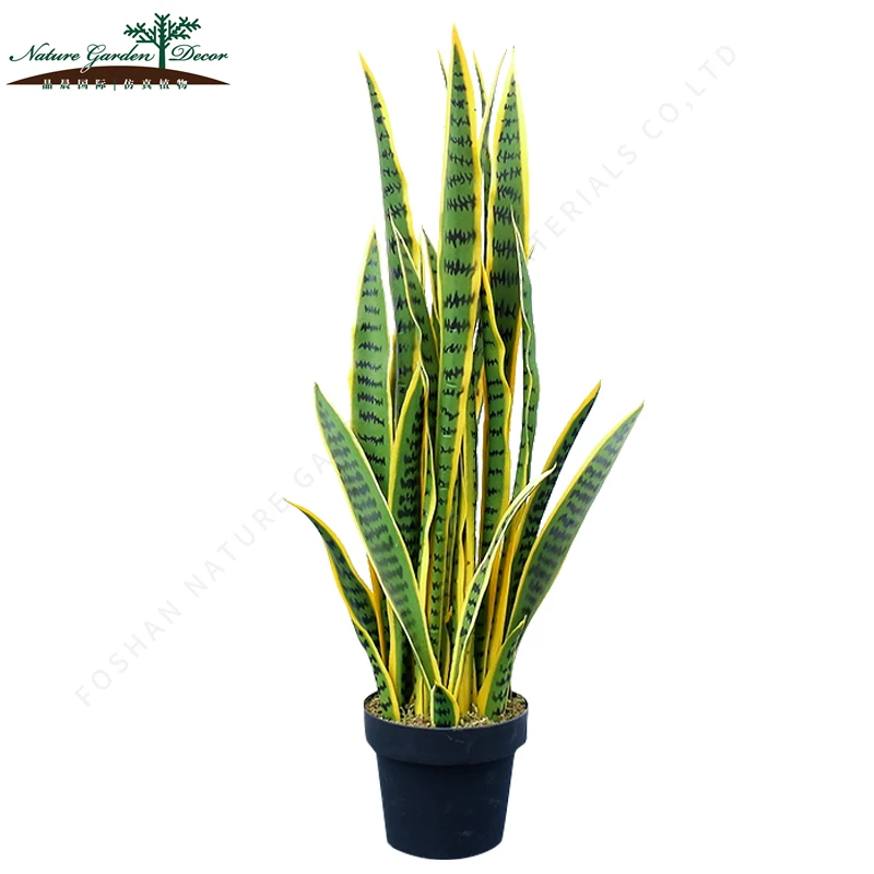 Дешевые декоративные змеиные растения дерево Sansevieria Крытый агавы деревья
